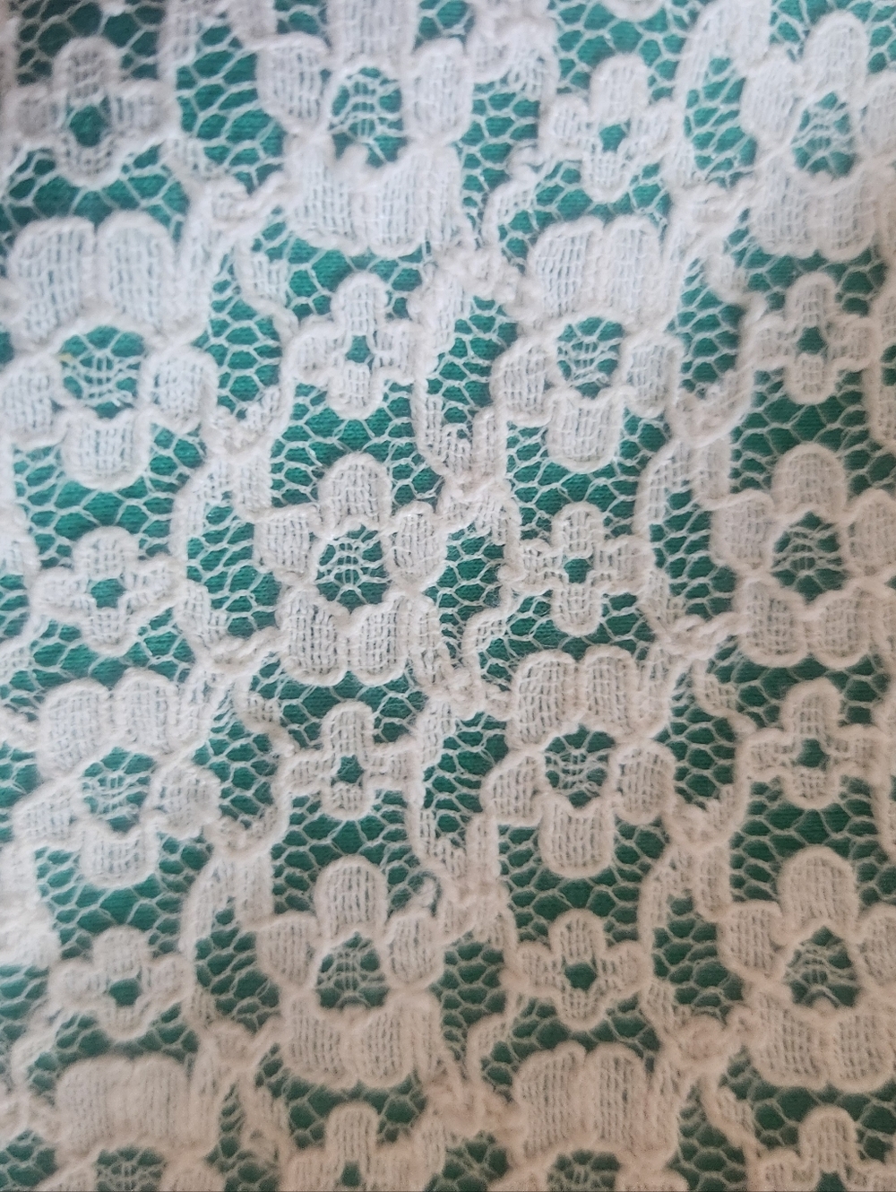 Green Patterned Jean Shorts - Picture 10 of 10
